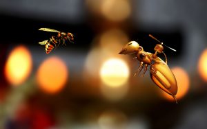 Pollination and pollinators
