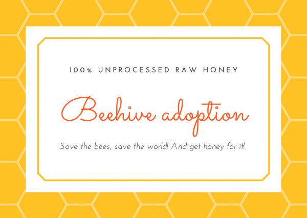 Beehive adoption with a donation to help saving the bees, saving the world, and getting honey for it!